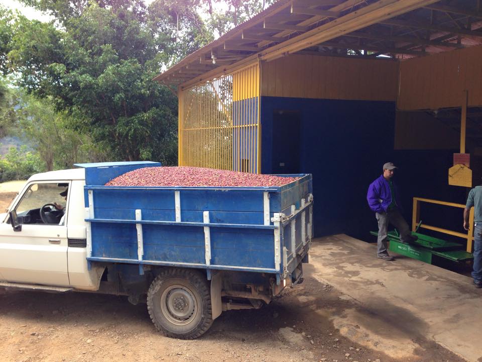 COSTA RICA La Minita