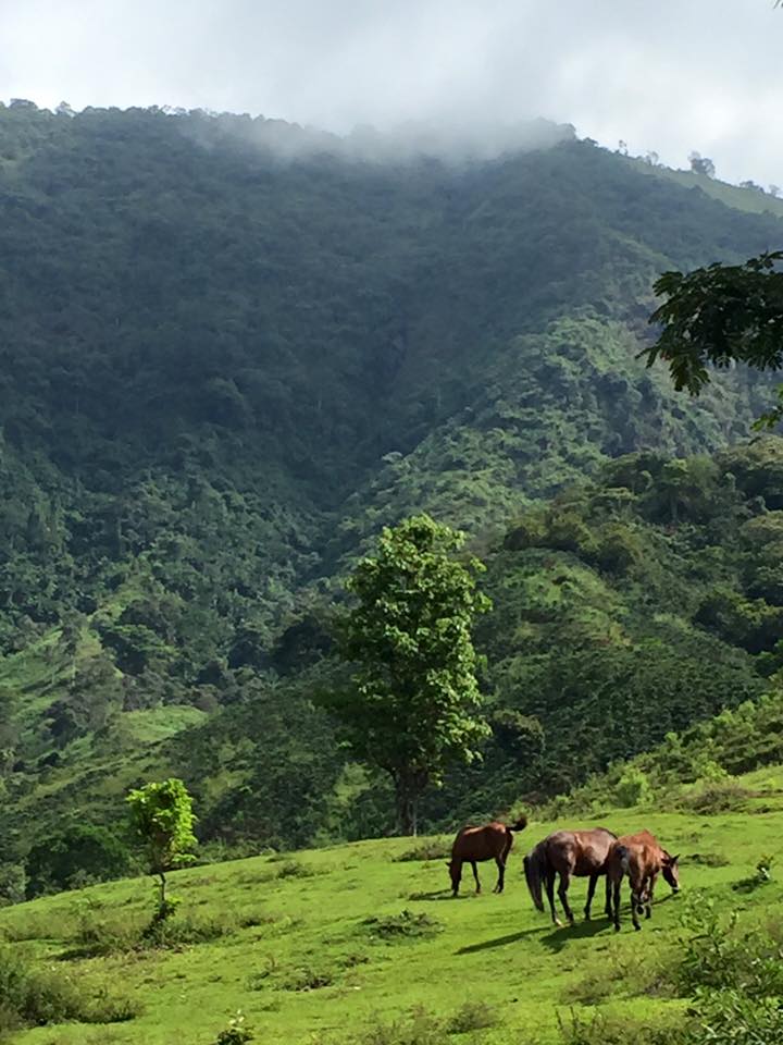 COSTA RICA La Minita