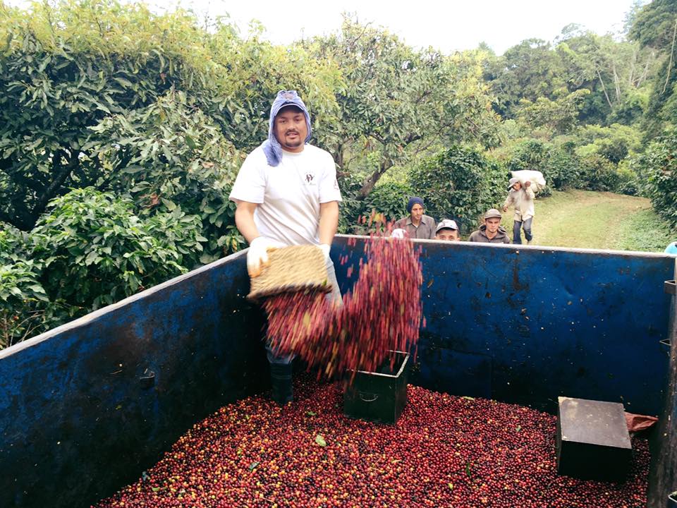 COSTA RICA La Minita