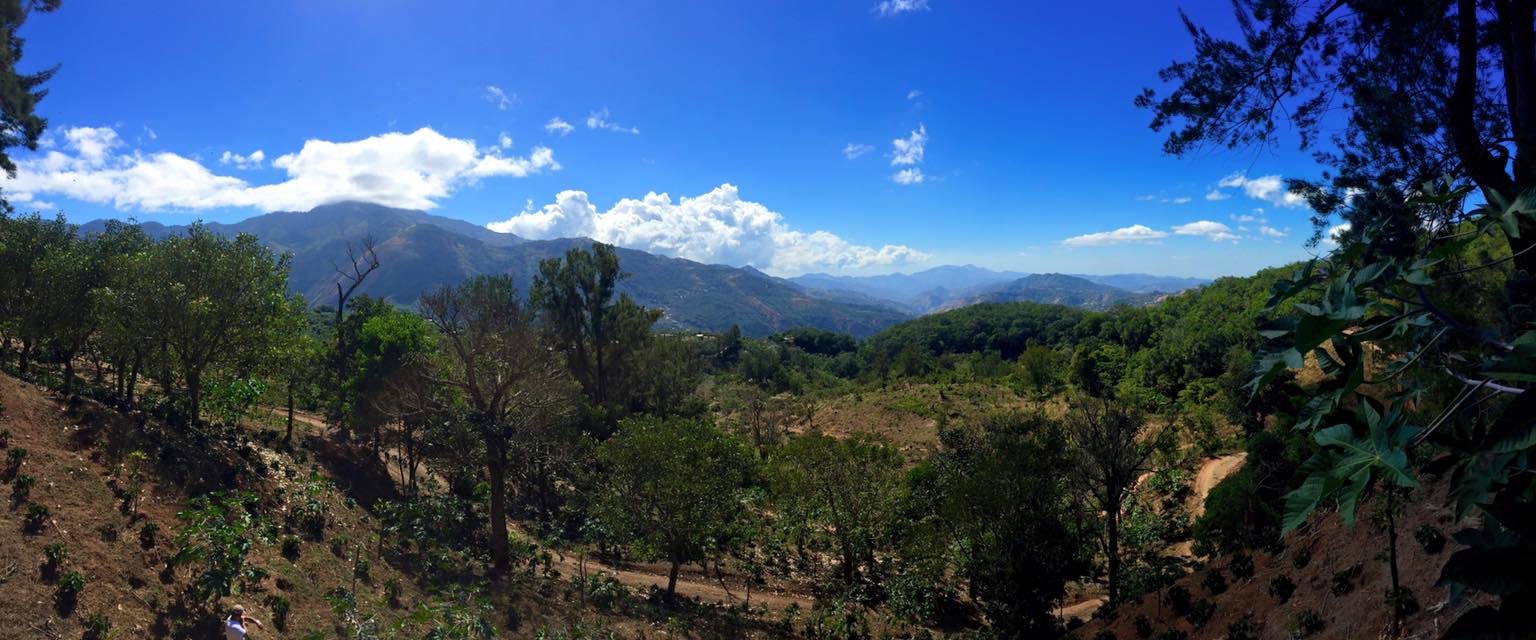 COSTA RICA La Minita