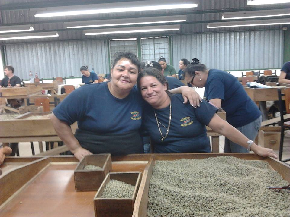 costa rica coffee farm la minita specialty coffee fosterhobbs