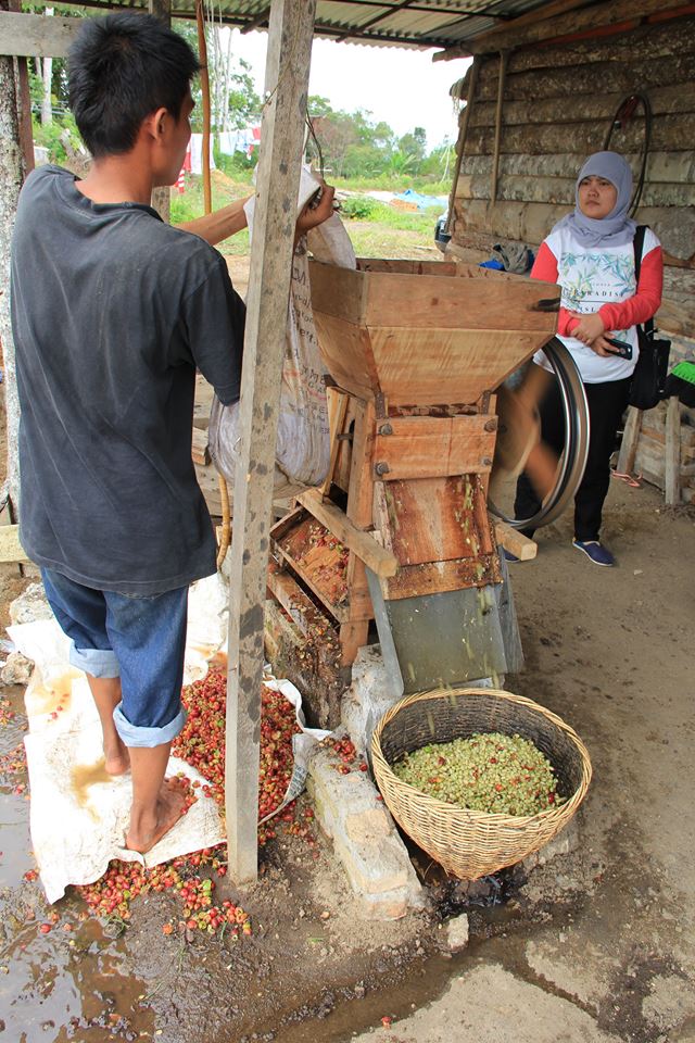 COSTA RICA La Minita