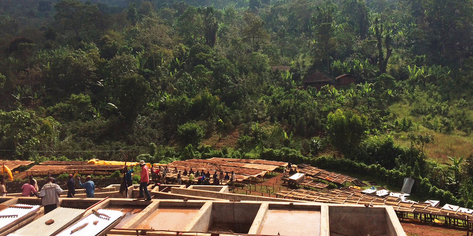 ETHIOPIA Yirgacheffe Reko